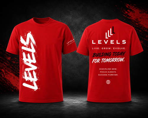 LEVELS Building Today T-Shirt